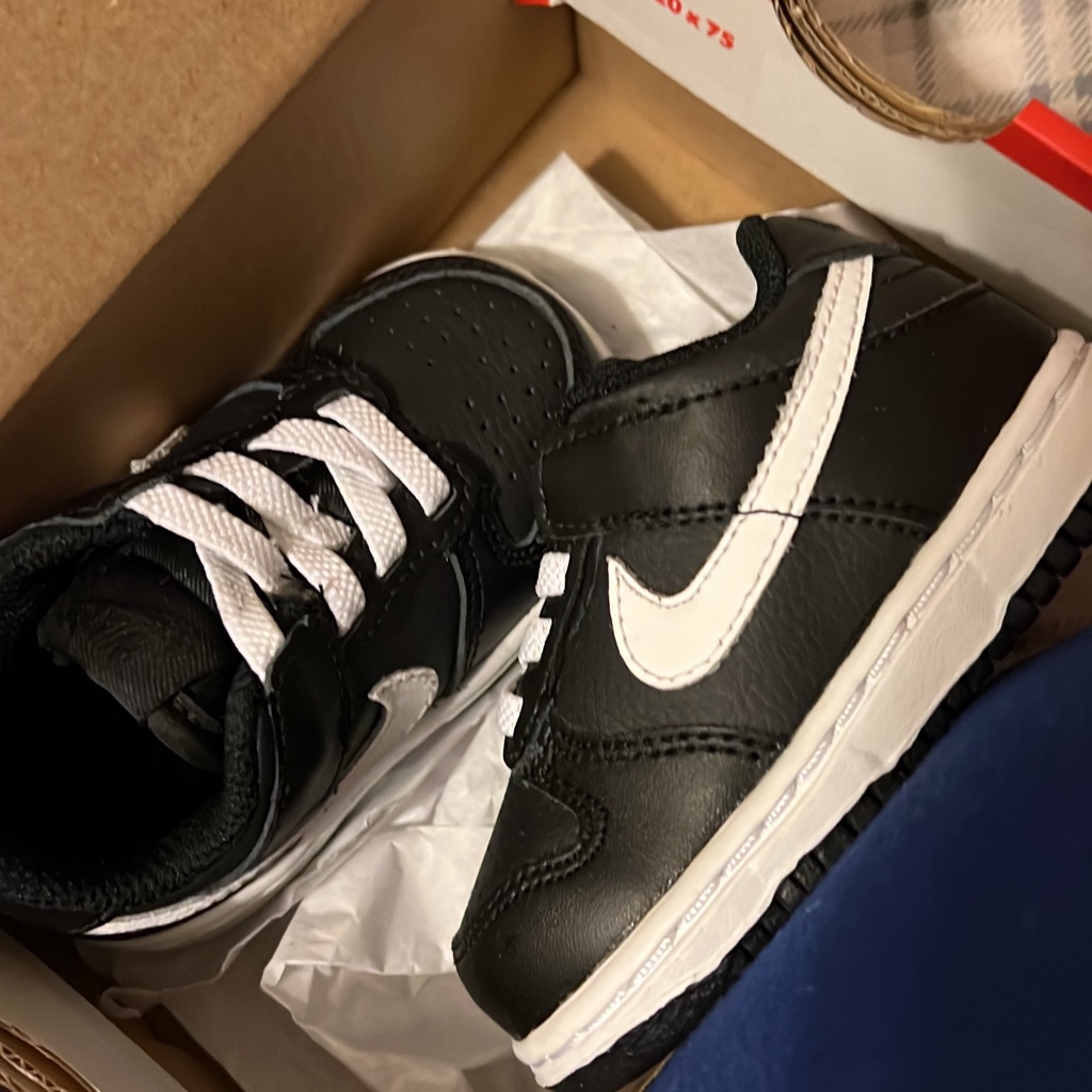 Baby Nike Dunk Size 4c